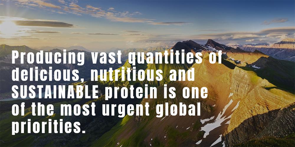 Enough - Sustainable protein